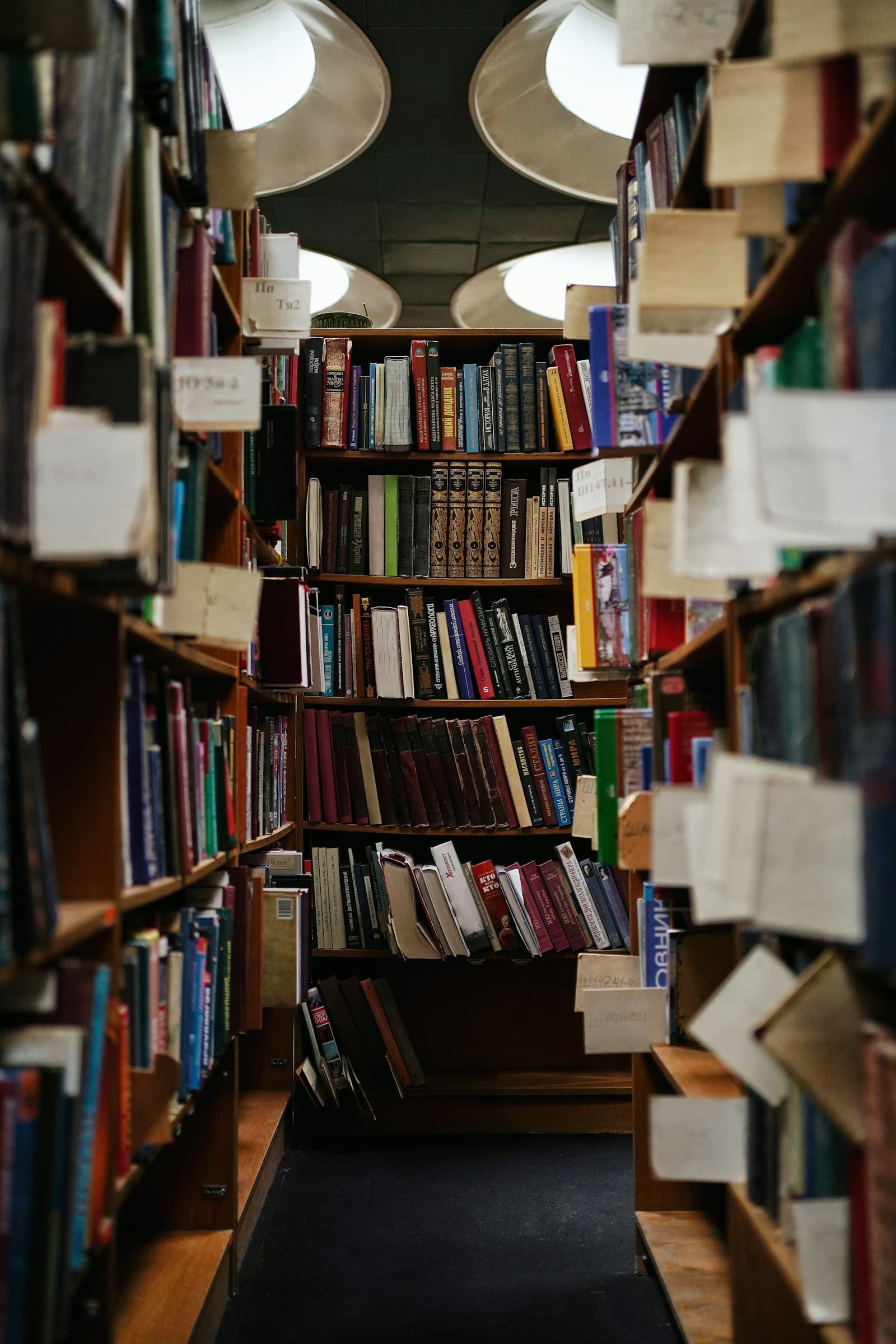 Étagères d'une bibliothèque remplies de livres